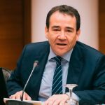 El director general del IVF, Manuel Illueca