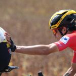 Primoz Roglic