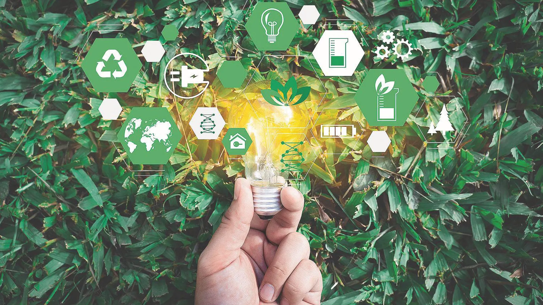 Indra, en el podio de la sostenibilidad mundial por su buen gobierno y sus medidas anticorrupción