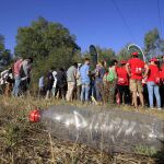 Imagen de archivo de voluntarios de Coca-Cola llevando a cabo una recogida de residuos en el Guadalquivir / Foto: Manuel Olmedo
