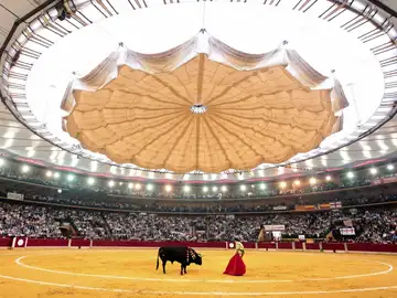 Toros retransmitirá cuatro festejos de la Feria del Pilar de Zaragoza Toros retransmitirá cuatro festejos de la Feria del Pilar de Zaragoza