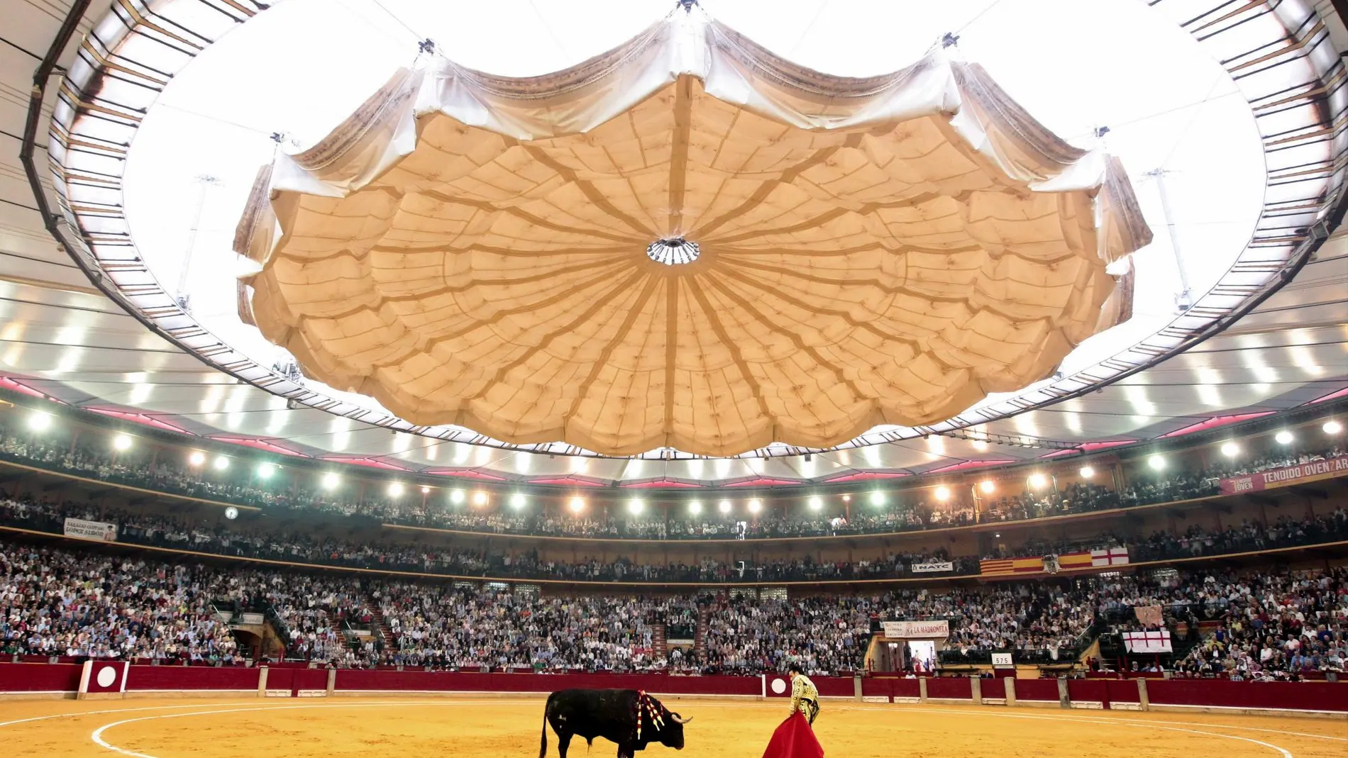Toros retransmitirá cuatro festejos de la Feria del Pilar de Zaragoza