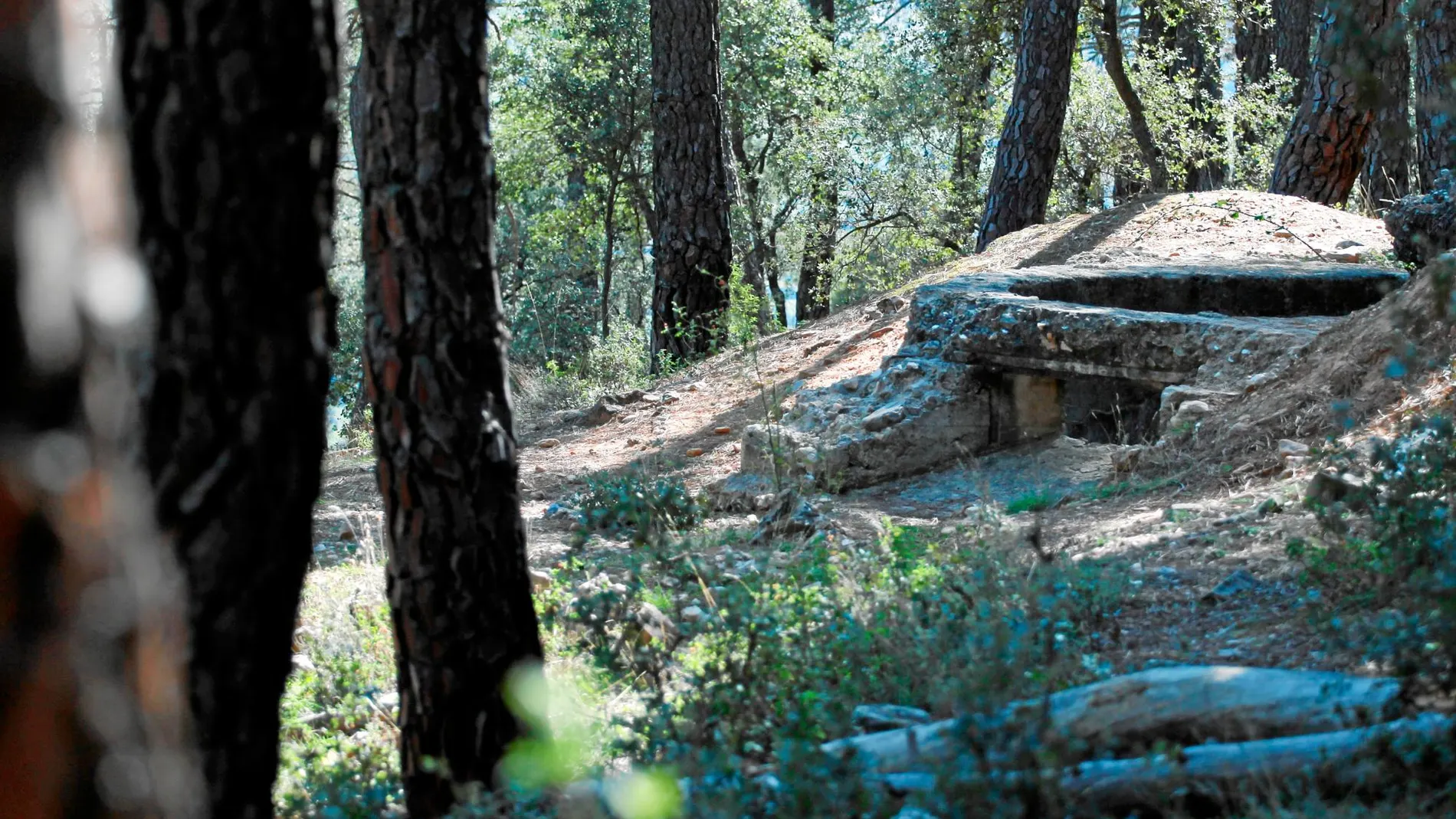 Uno de los búnkers construidos para defender la línea del frente en la sierra madrileña. Foto: Cipriano Pastran