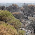 La superficie forestal quemada en 2019 fue de 3.088 hectáreas, de las que 1.407 corresponden a superficie arbolada (el 45,6%)
