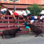 Cogida de un toro a un joven en los encierros de las fiestas de Moratalla, en Murcia / Opinión de Murcia