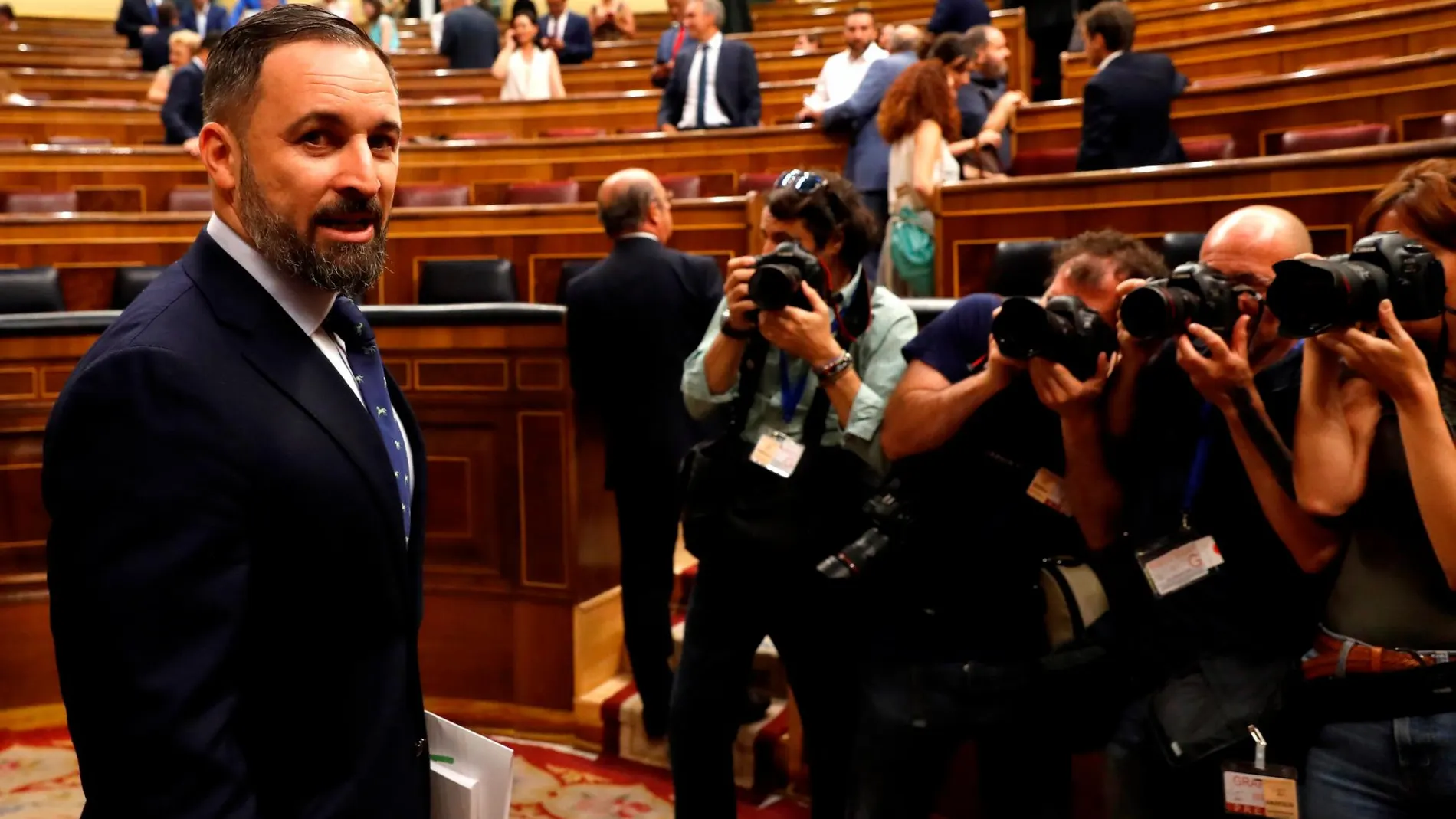 Santiago Abascal en el Congreso