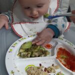 «Me parece una opción más sensata y lógica introducir los alimentos sólidos de forma gradual en cuanto a su consistencia, pudiendo combinar alimentos triturados e ir probando y aumentando la textura de más granulosa a sólida»
