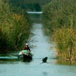 Una garza real alza el vuelo al acercarse una barca de pesca de L’Albufera