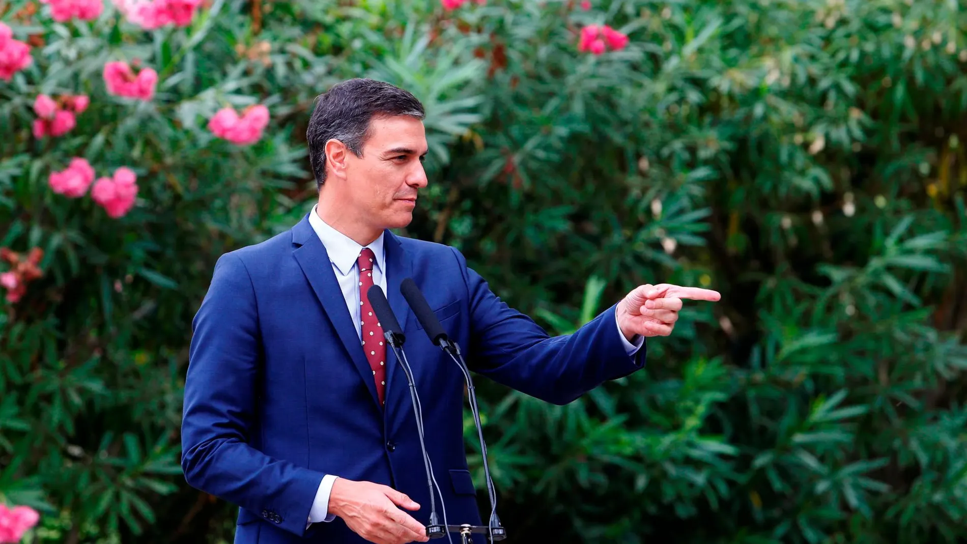 El previsible Sánchez