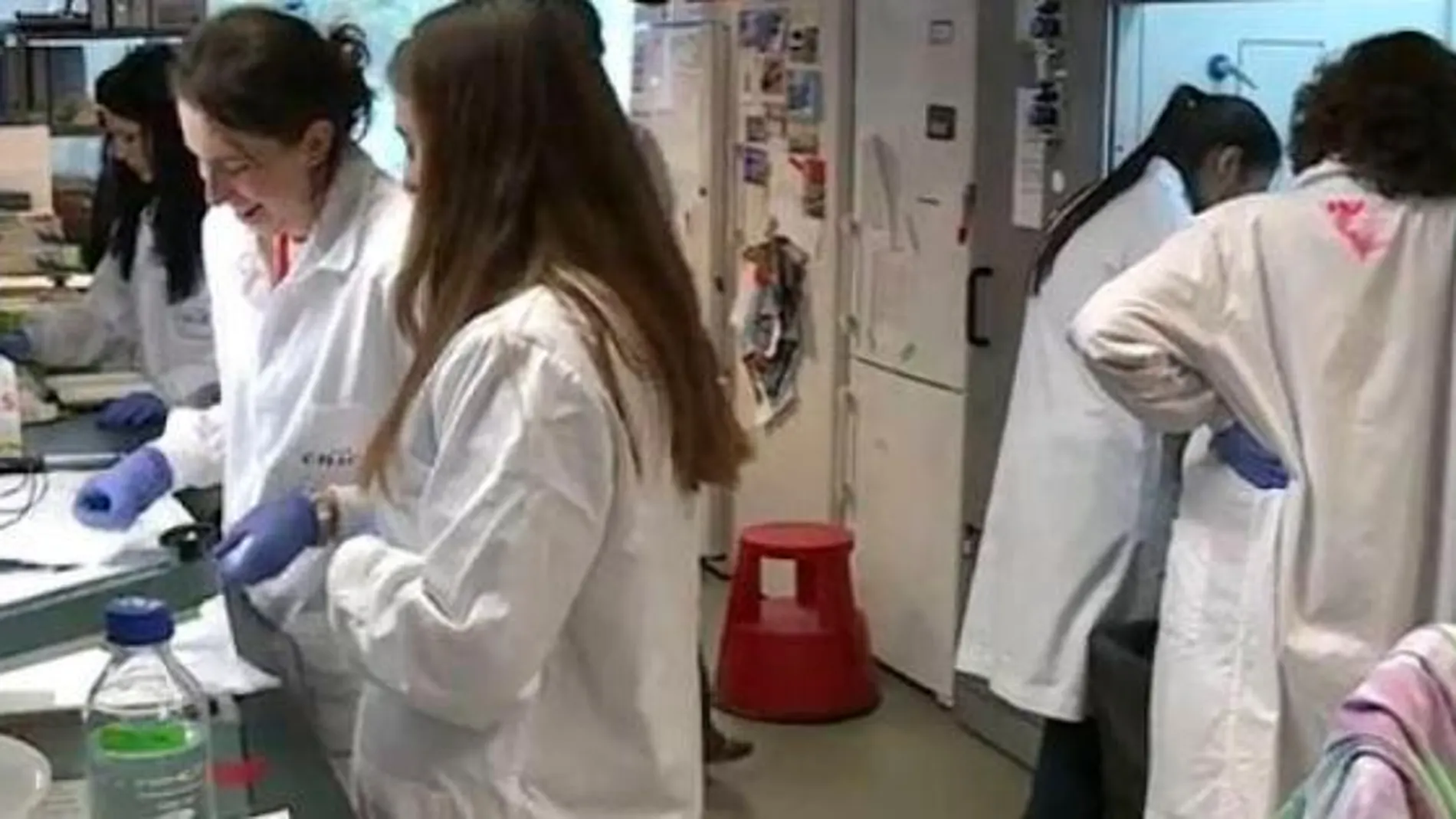 Un grupo de investigadoras en el laboratorio