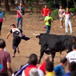 El morlaco “Barco” durante la celebración del festejo en Tordesillas que estuvo plagado de visitantes
