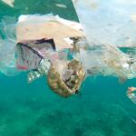 Varias bolsas y residuos plásticos en una playa