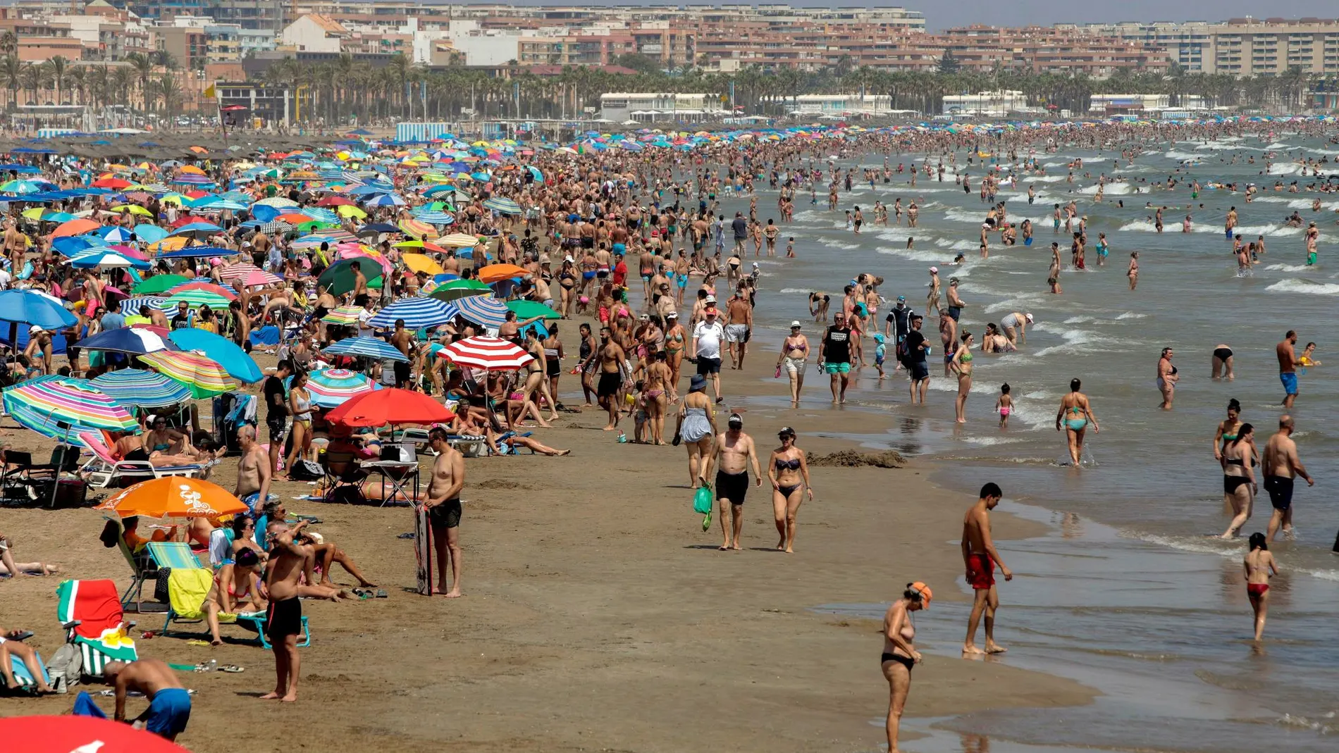 Playa de Torrevieja