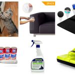 ¿Qué puedo hacer para evitar que mi gato dañe y ensucie mi casa?