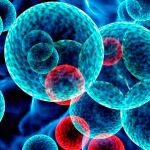 El 33% de las muertes por cáncer se puede evitar con este decálogo