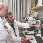 La degeneración de las neuronas es la principal causa que produce esta patología