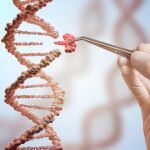 Los científicos realizaron más de 175 ediciones en células humanas / Dreamstime