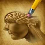 En la enfermedad de Alzheimer el desafío es proteger a las neuronas