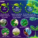 Las malas hierbas toman Europa