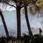 Incendio forestal declarado en el paraje de Roche, en Conil de la Frontera (Cádiz) / Foto: Efe