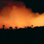 El humo anaranjado ilumina la noche de la Amazonia. Este año se han contabilizado más de 70.000 fuegos en la zona