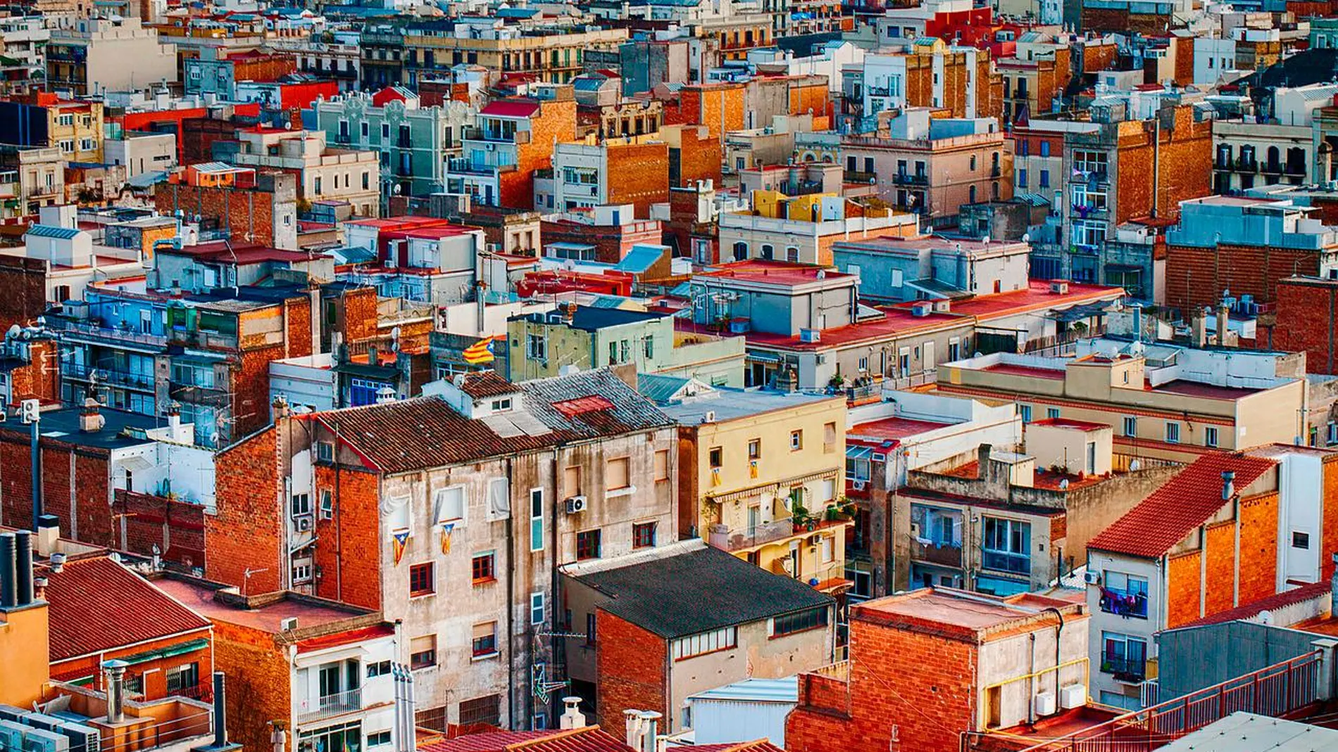 En las casas, se filtra a través de grietas en los suelos o en la unión del piso con las paredes