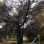 Labores de extinción de los bomberos de la Comunidad