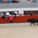 El incidente del pasado fin de semana en Vidreres (Girona) ha devuelto a la palestra la silenciada realidad de los toros en Cataluña
