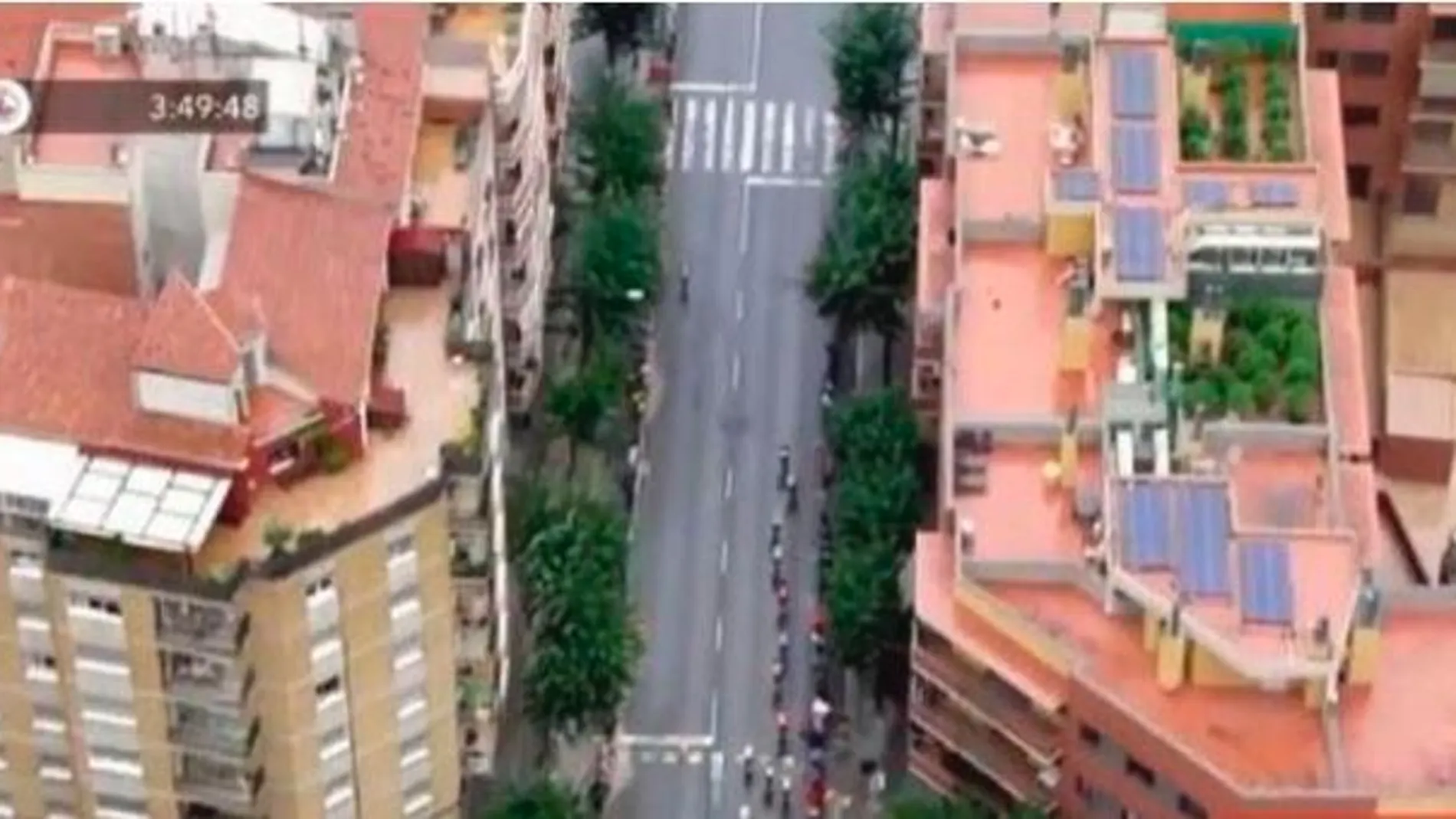 En la azotea los Mossos encontraron 40 plantas de marihuana