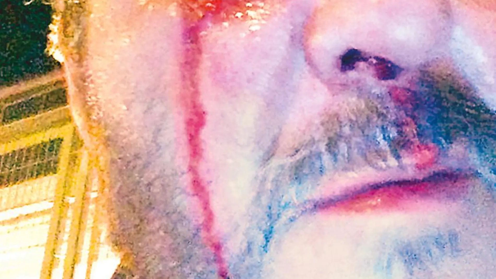 Agresiones en piscinas públicas de Madrid: "Eran siete, me amenazaron, te vamos a matar"