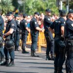 Cientos de agentes velaron por la seguridad en la procesión