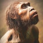 ¿Miraba el hombre primitivo a las estrellas?