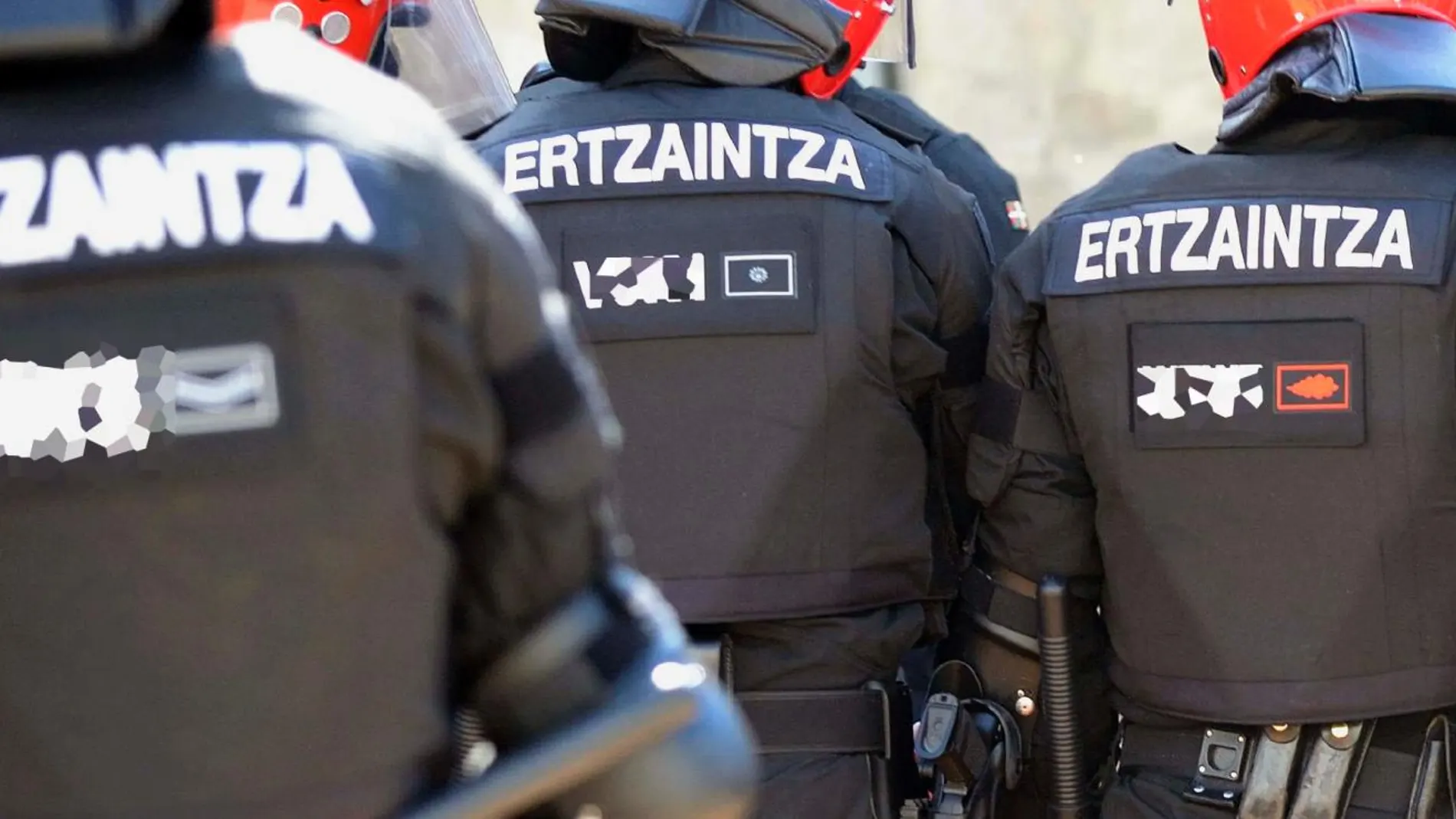 La Ertzaintza es la encargada de buscar a los acusados/Efe