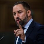 Santiago Abascal en la tribuna de oradores del Congreso