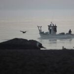 Estero Natural ha introducido los últimos avances en la Salina Belén | A. Carrasco Ragel