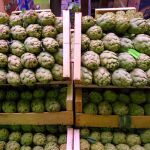 La alcachofa, según los productores agrícolas, uno de las verduras más importantes para la economía murciana, por su alta demanda en el sector nacional e internacional