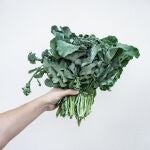¿Es beneficioso el veganismo en niños?