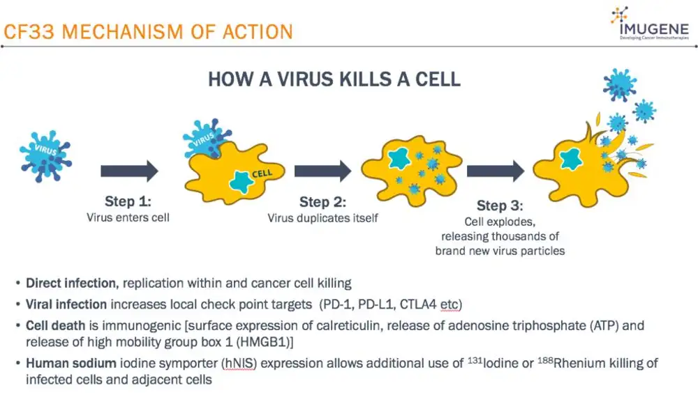 Así funciona el virus