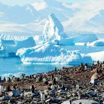 Taiwán, un valioso socio en la respuesta global al cambio climático
