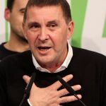 Arnaldo Otegi, en una imagen de archivo / Foto: Efe