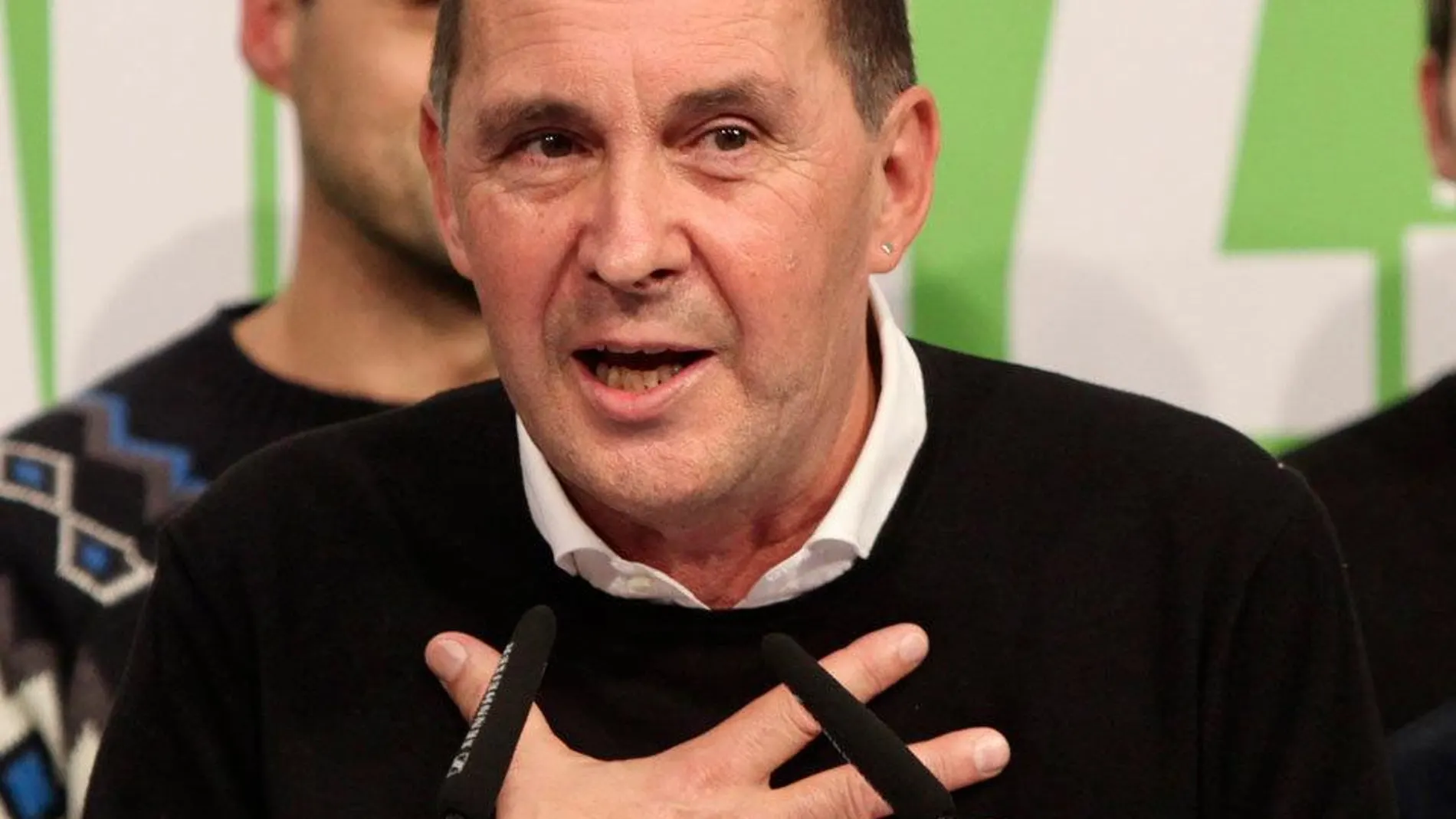 Arnaldo Otegi, en una imagen de archivo / Foto: Efe