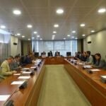 Imagen de la Comisión de Asuntos Generales e Institucionales y de la Unión Europea en la Asamblea RegionalImagen de la Comisión de Asuntos Generales e Institucionales y de la Unión Europea en la Asamblea Regional11/18/2019