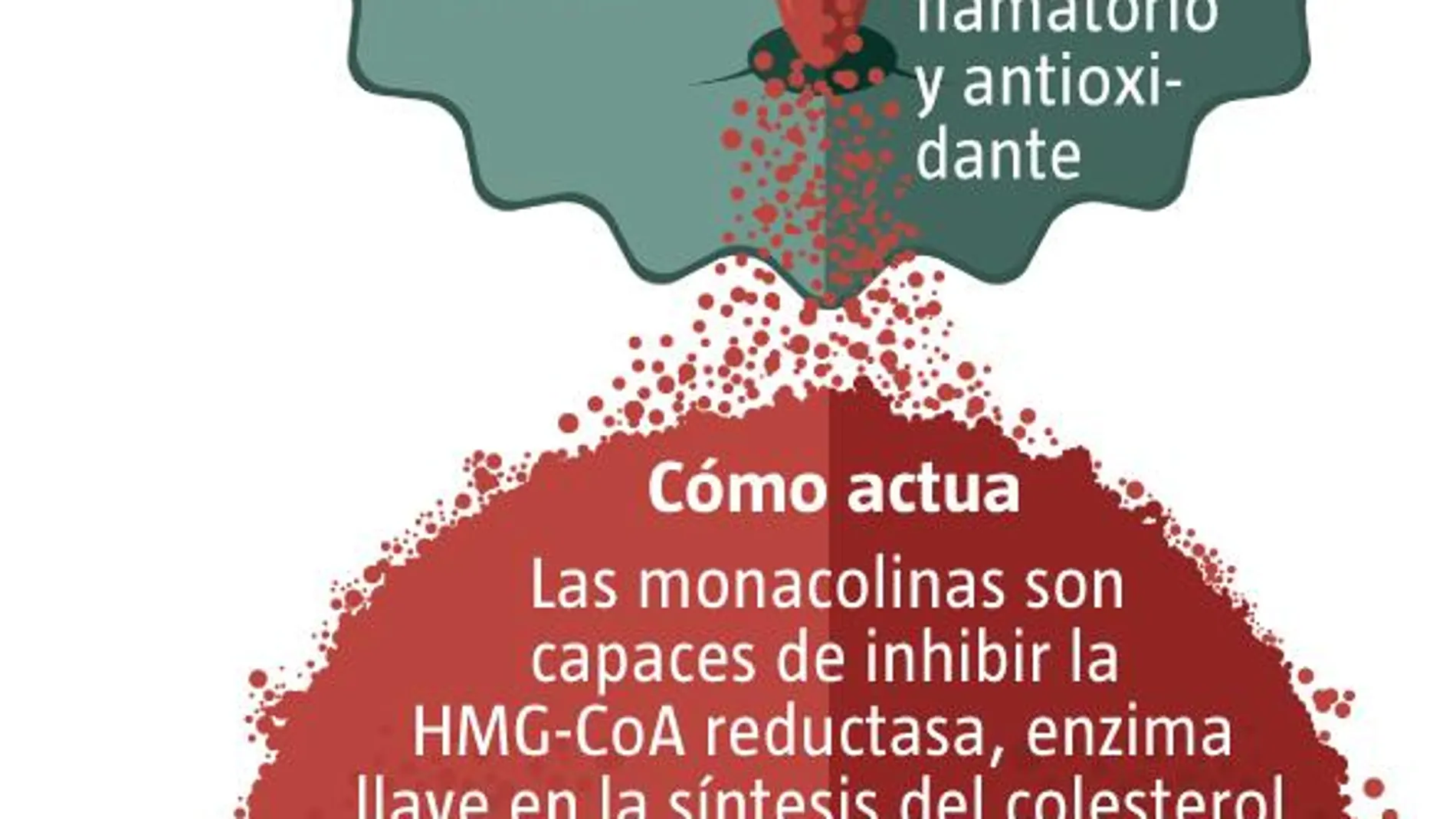 levadura de arroz rojo