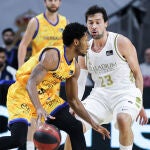 Sergio Llull ante un oponente del Herbalife Gran Canaria, este domingo