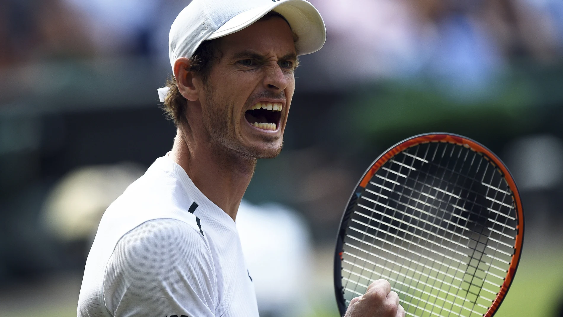 Andy Murray