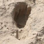 El pie humano tiene más de 15 millones de años
