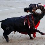El diestro Fernando Cruz ha resultado herido en el transcurso de su primera faena en la corrida que se está celebrando en Las Ventas,