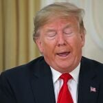 Donald Trump, presidente de EE UU