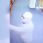 Oscar Valero Recio Becerra, embajador de México en Argentina desde Abril de 2019, fue sorprendido cuando abandonaba una librería misma sin haber pagado un libro que había cogido de sus estanterías
