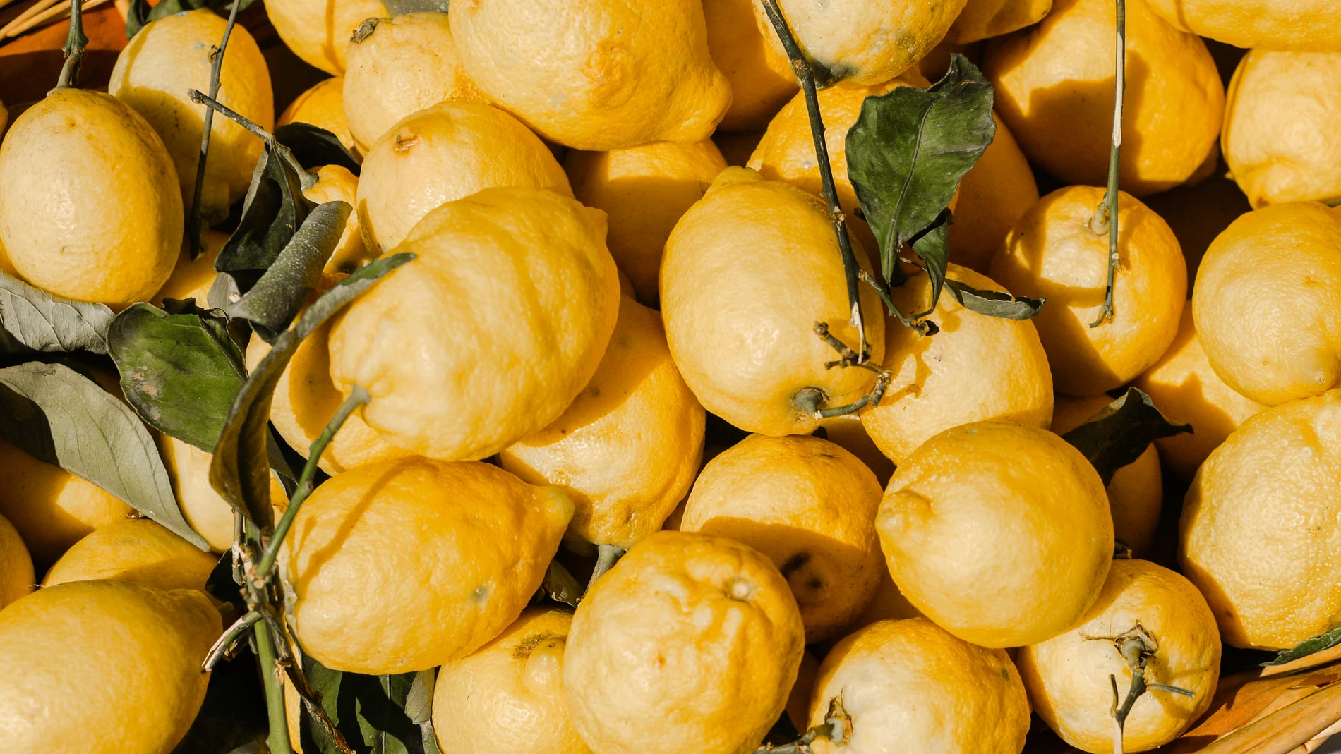 Los agricultores murcianos denuncian la llegada de limón argentino con plaga